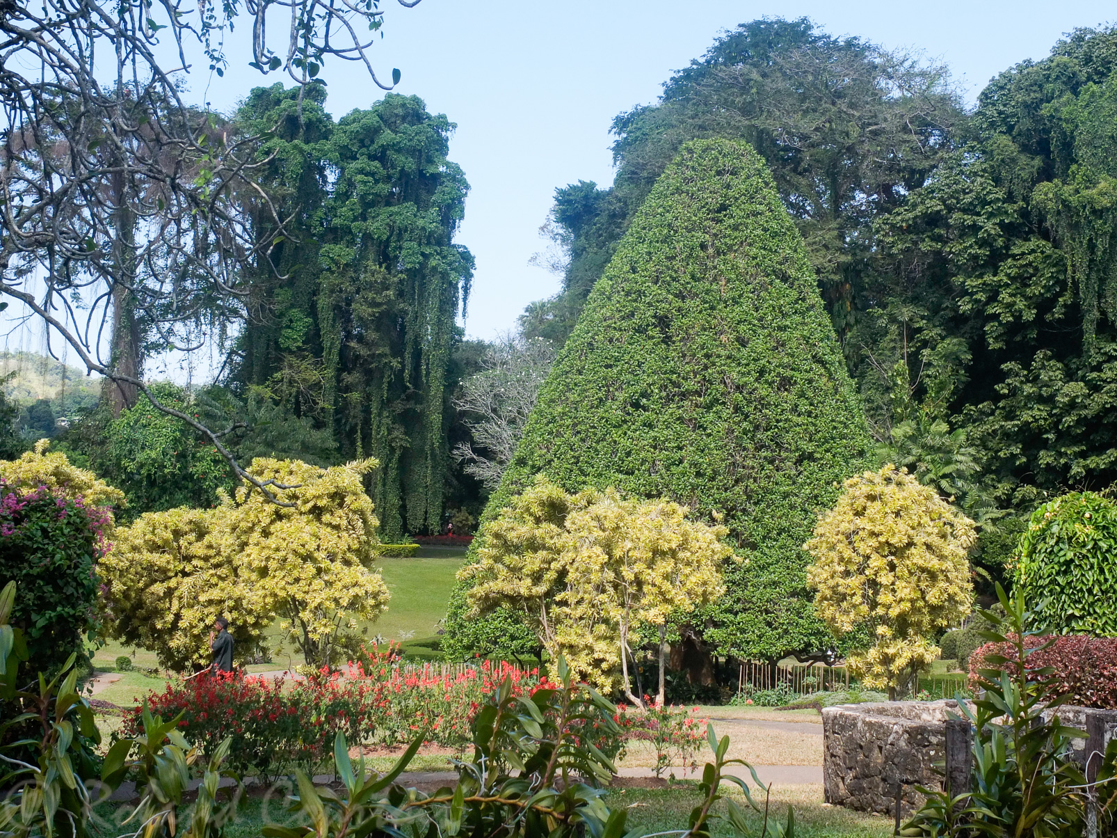 Jardin botanique de Peradeniya