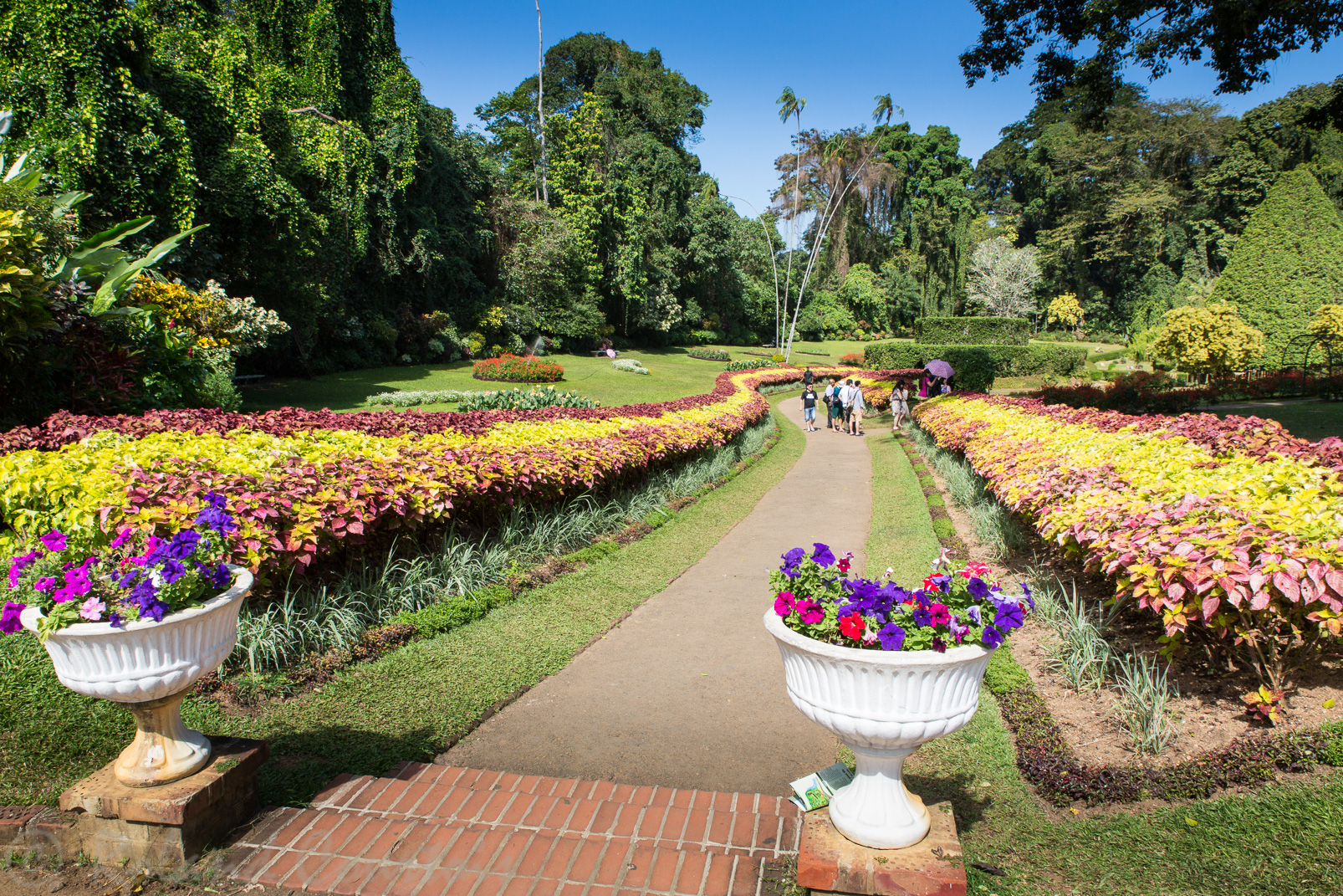 Jardin botanique de Peradeniya.