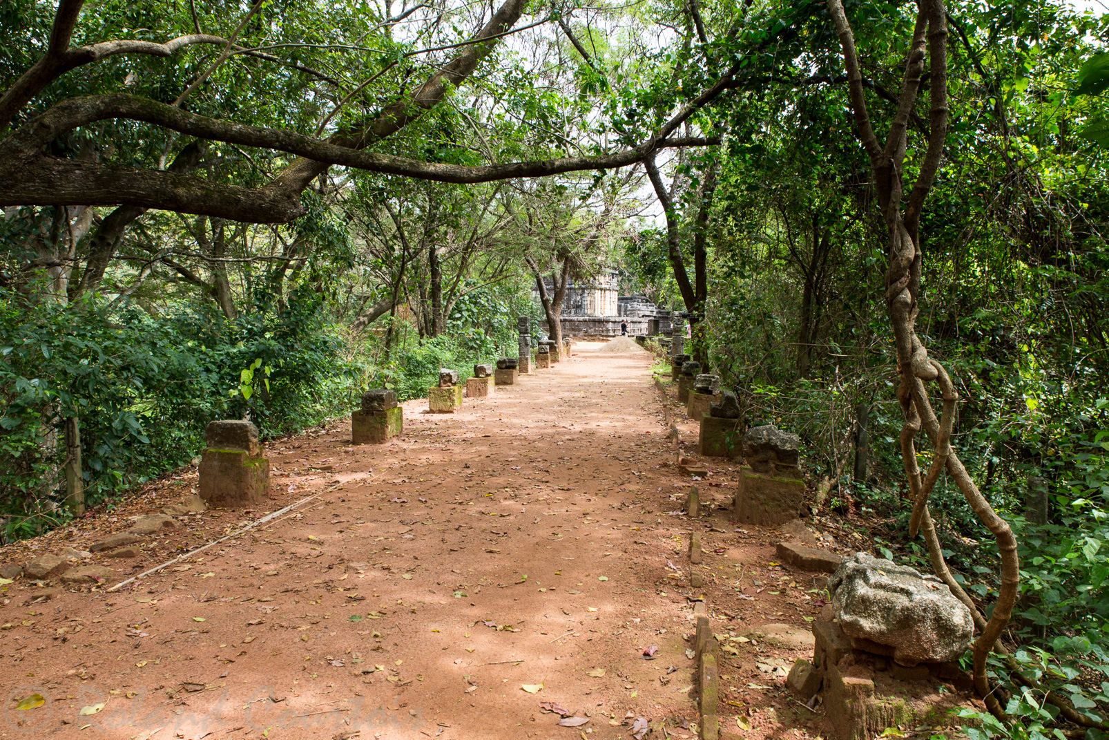 Chemin d'accès au Nalanda Gedige