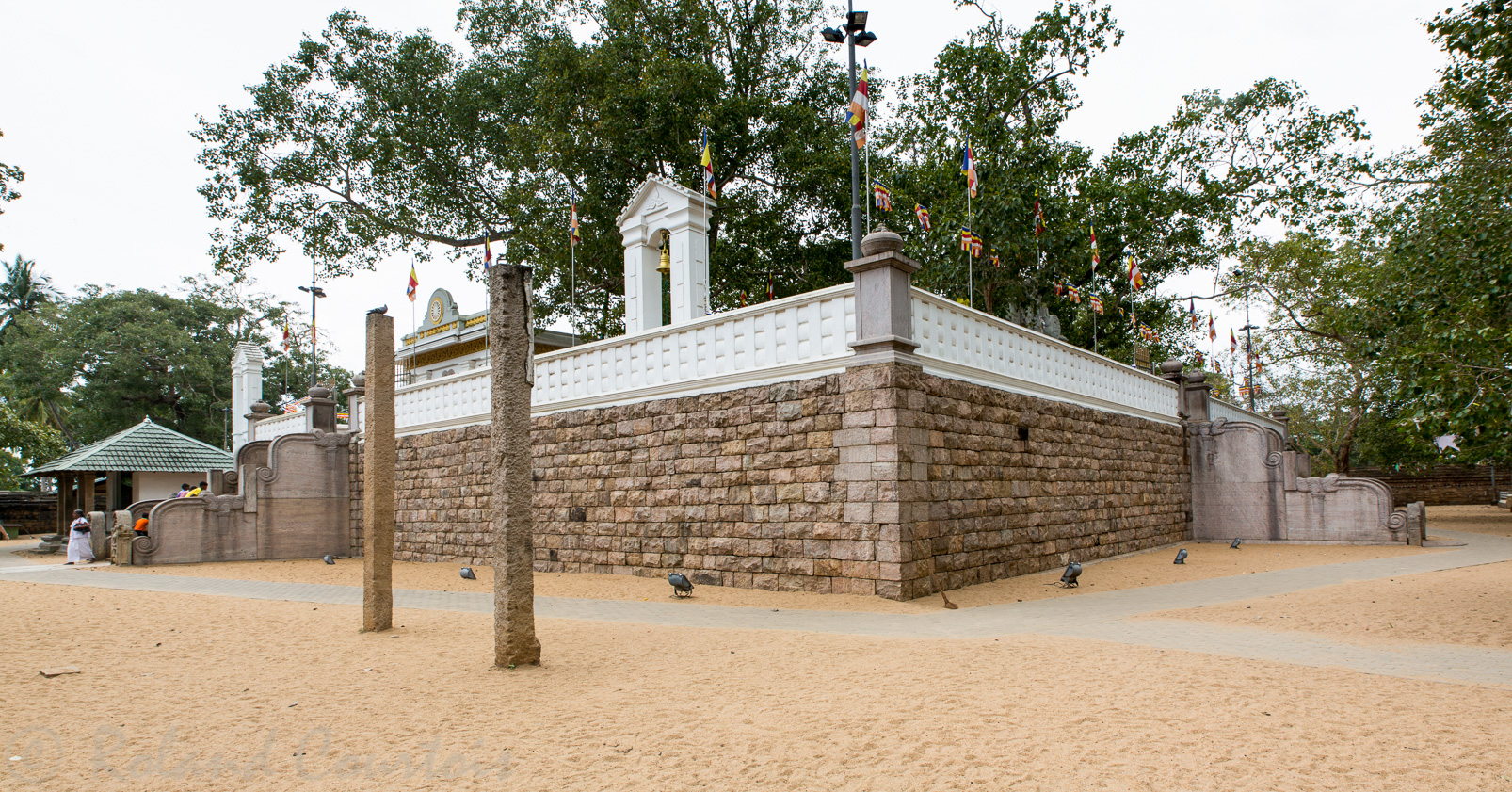 Anuradhapura. Le sanctaire de l'arbre de la Bodhi, où fut plantée il y a 2 200 ans une bouture de l’arbre de Bodhgaya en Inde, sous lequel le Bouddha obtint l’illumination.