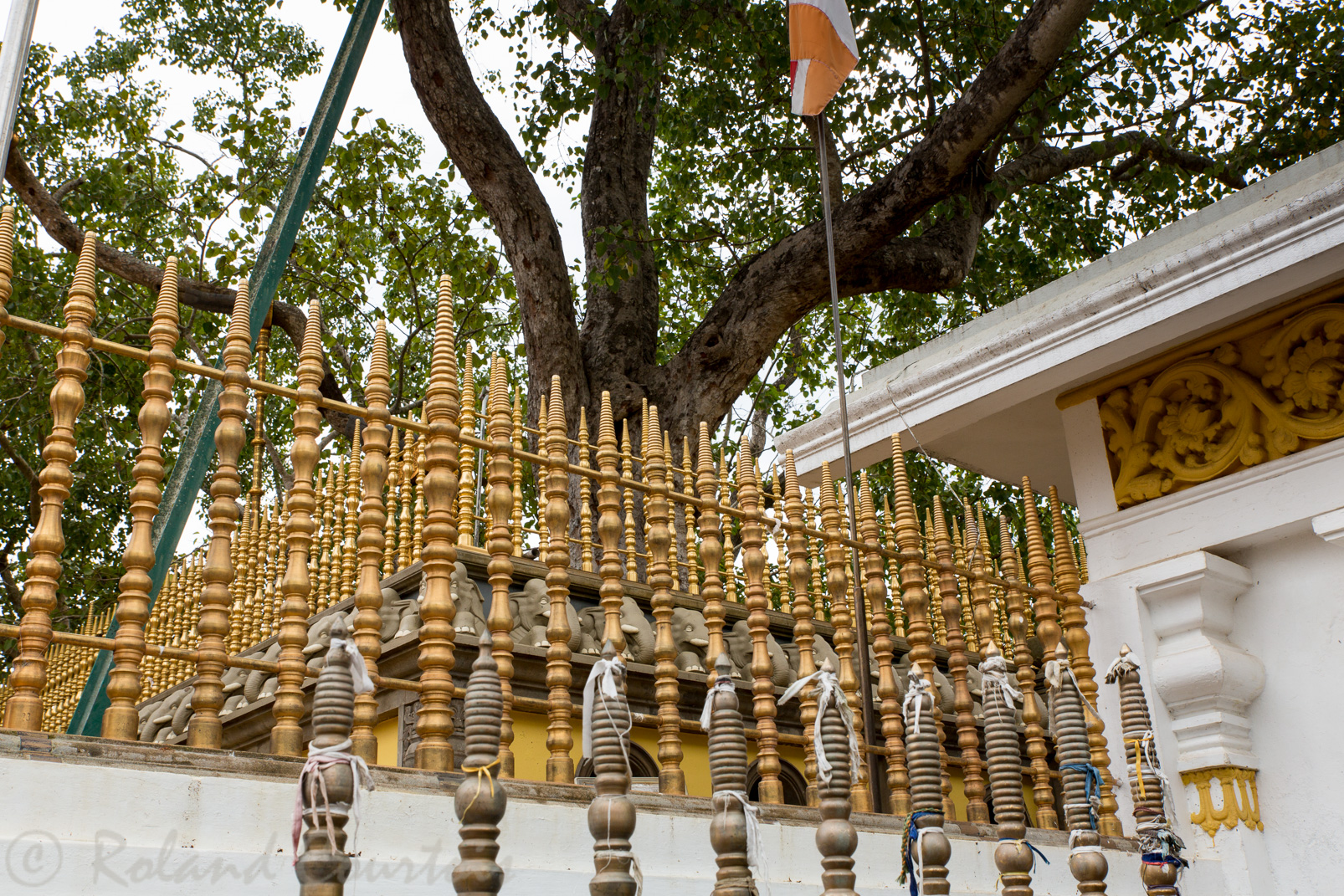 Site de Anuradhapura. En son centre, l'arbre de la  Bodhi très protégé.