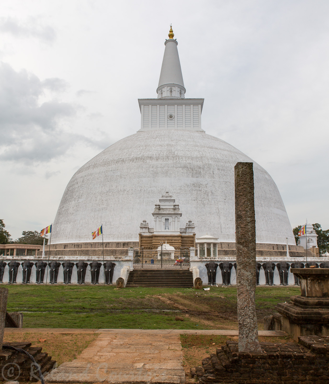 Anuradhapura. Le Stupa Ruwanwelisaya tout blanc et haut de 55 m. est cerné d'un mur orné d'une frise de centaines d'éléphants serrés les uns contre les autres.