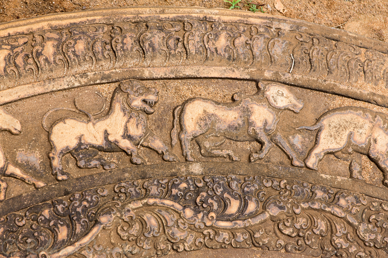 Mahasena's Palace. Détails de la pierre de lune: les animaux (éléphant, cheval, lion, buffle) représentent la souffrance sous ses 4 formes (naissance, vieillesse, maladie, mort).