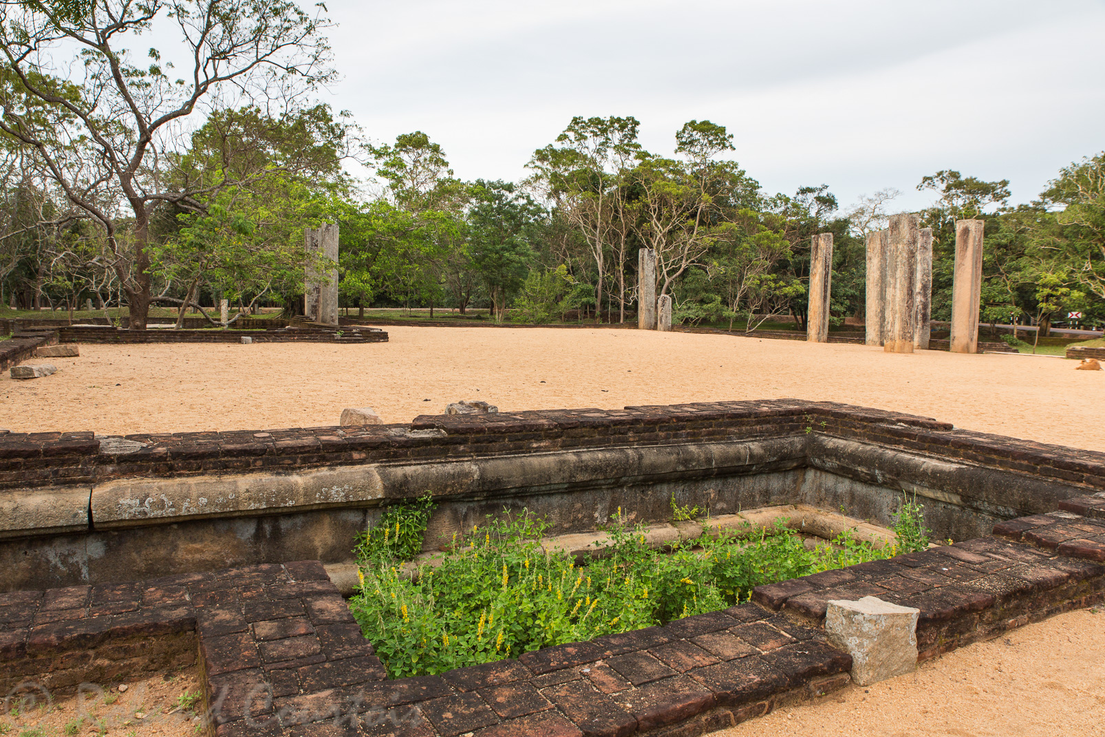 Site de Anuradhapura. Monastère de Ratna Prasada.