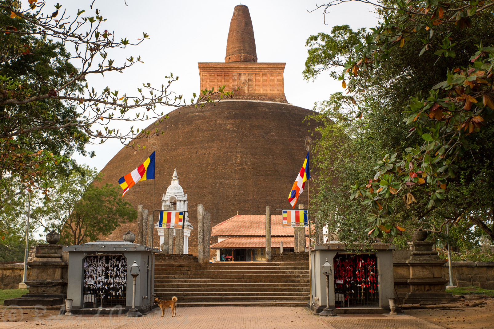 Abhayagiri Dagoba. La plus grande construction en briques après les pyramides de Gizeh. Le plus grand stupa du monde.
