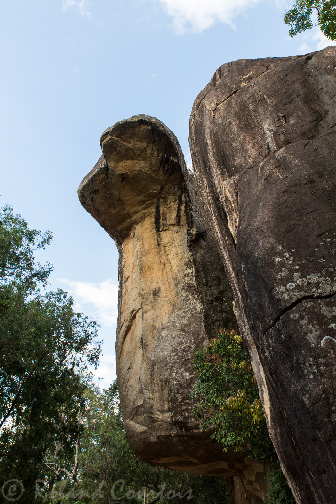 Site de Sigiriya. Rocher en forme de Naga.