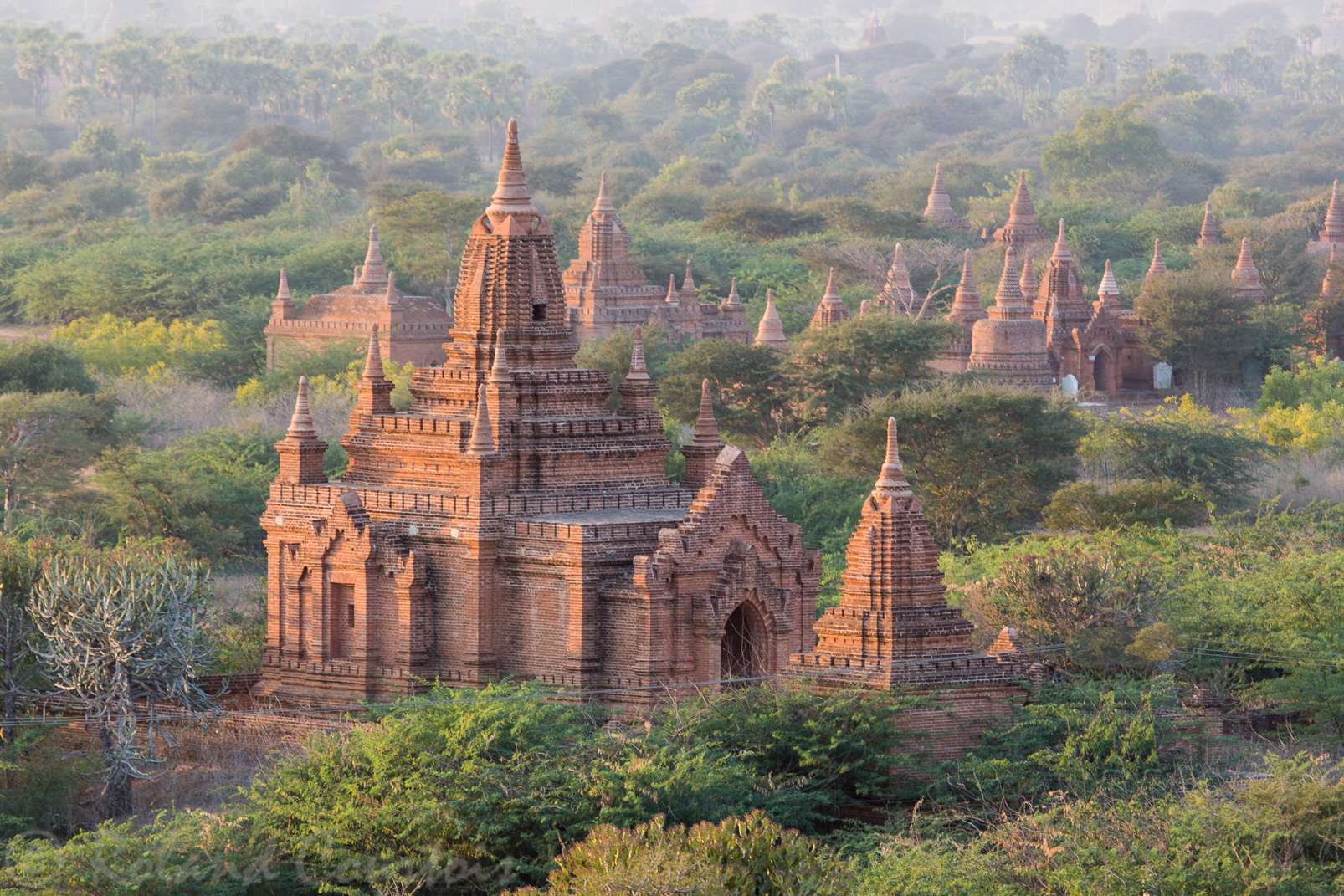 Vue panoramique sur le site Bagan à partir des terrasses de la pagode Dhamayazika.
