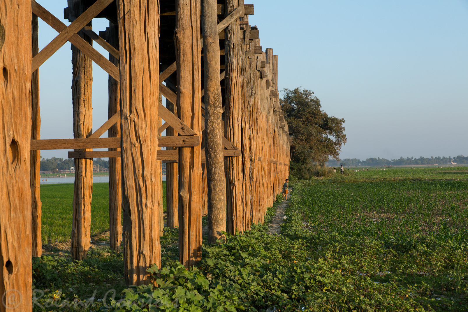 Le pont U Bein, avec ses 1.2 km de long est le plus long pont en teck au monde et a été construit en 1850 avec le bois du palais d'Inwa.