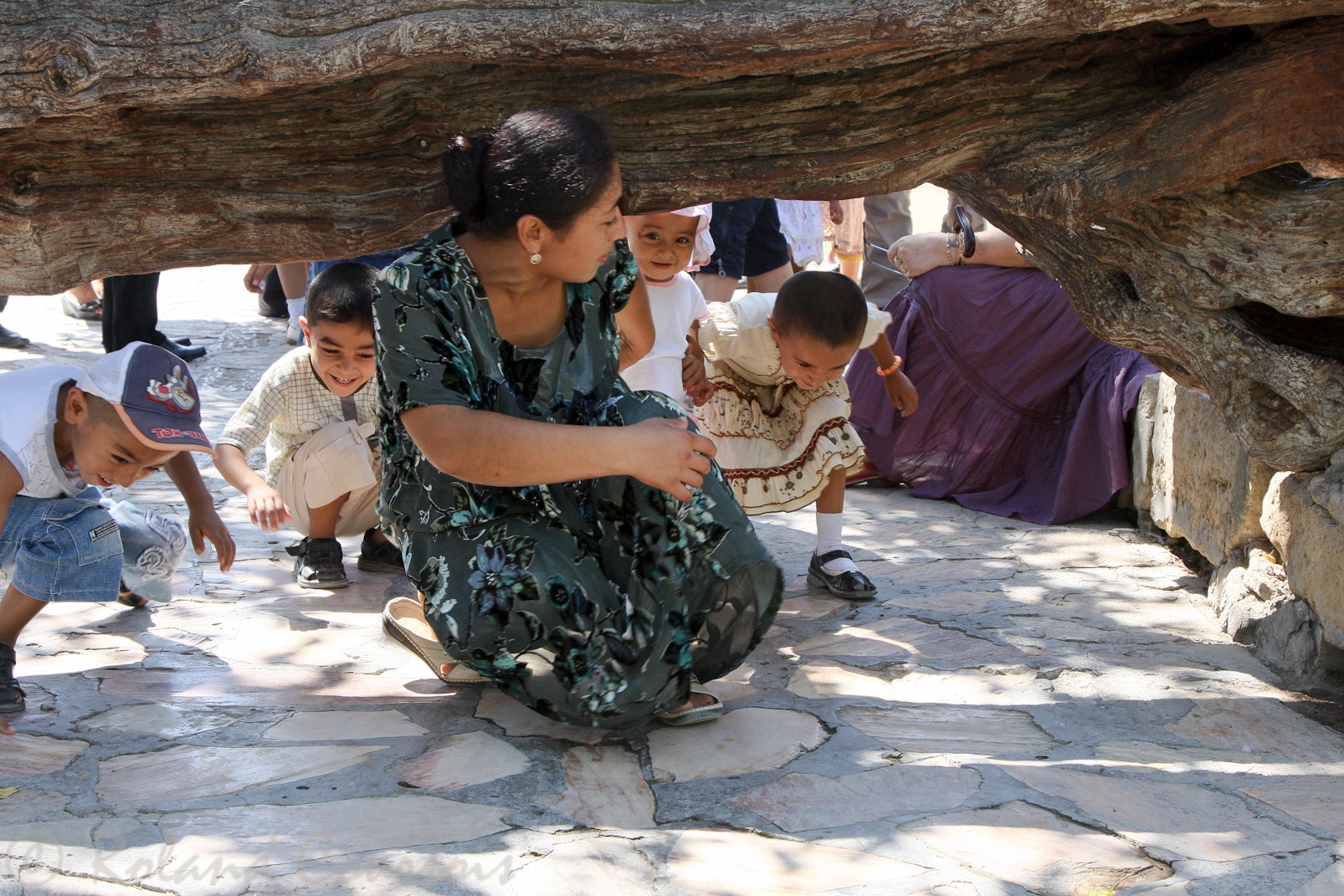 Bakhaouddin Nakhchbandi,  Les femmes passent sous ce tronc de sycomore dans l’espoir d’être enceintes.