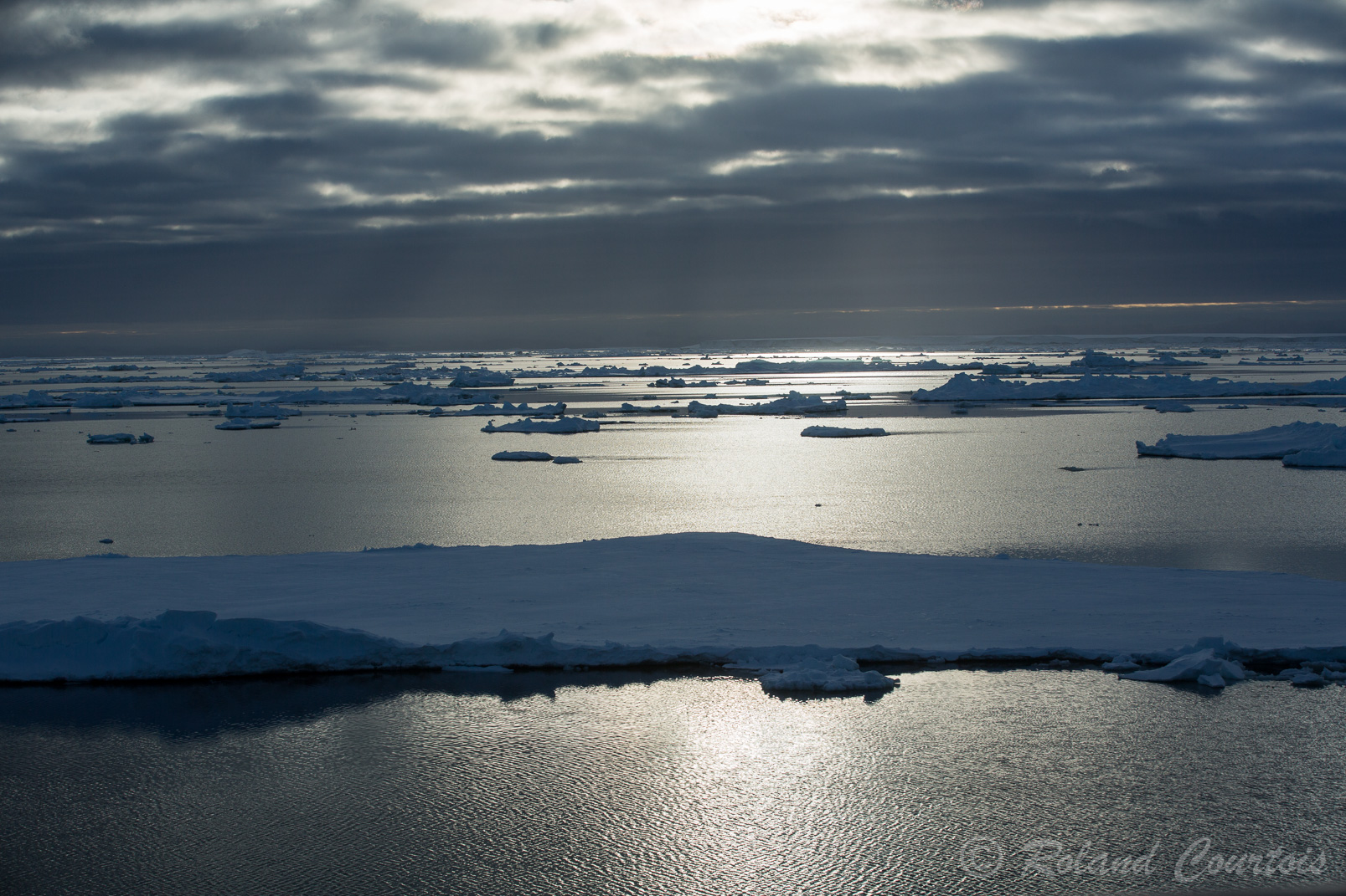 Entrée dans la mer de Weddell encore encombrée de glaces en ce début d'été austral.