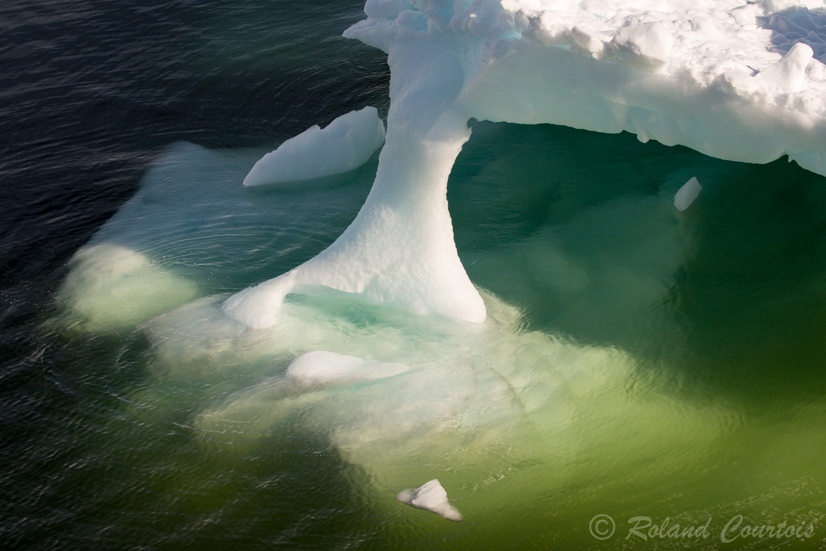La couleur verte est provoquée par la vie qui existe dans la partie immergée des icebergs.