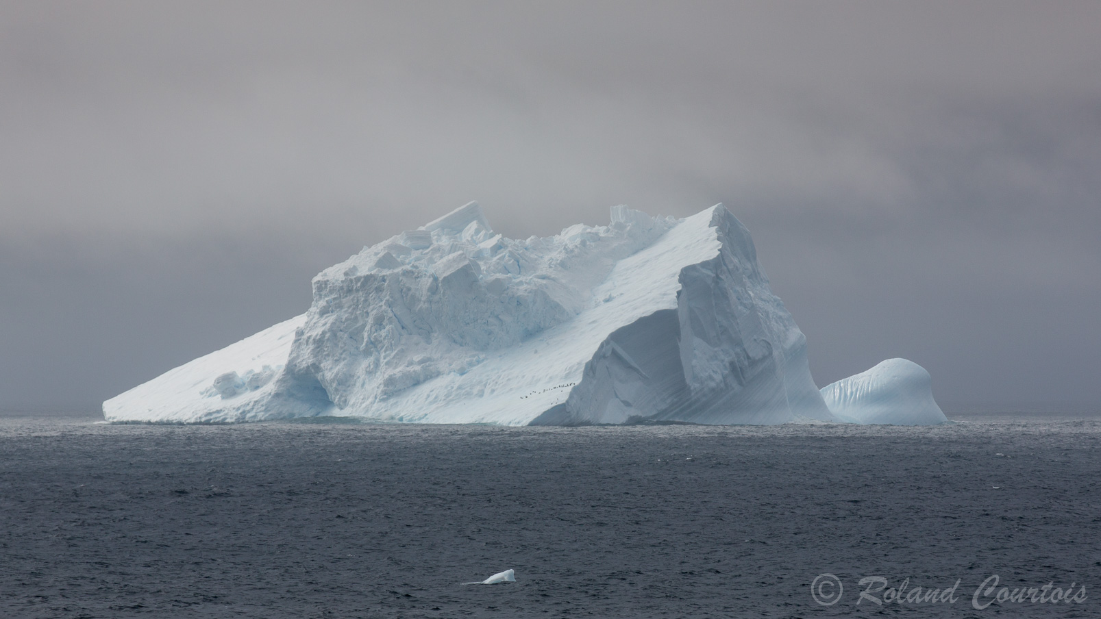 En plein Atlantique Sud, nous croisons les premiers icebergs.