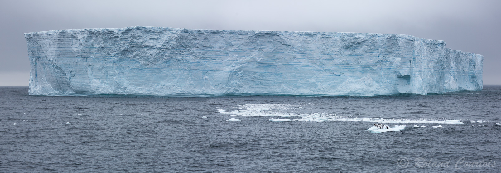 En plein Atlantique Sud, nous croisons les premiers icebergs tabulaires.
