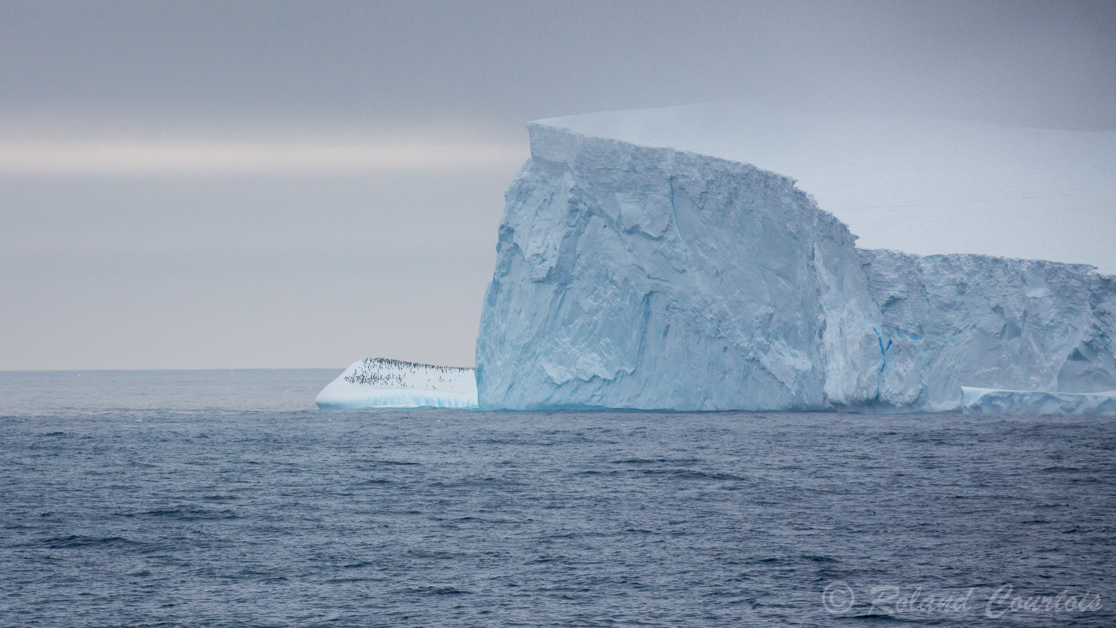 Sur la gauche de cet iceberg, un groupe de manchots.