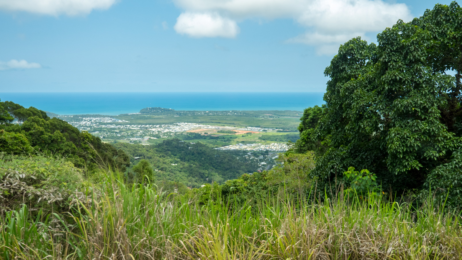 Baignée par la mer de Corail, Cairns est aux portes de la forêt pluviale du Queensland