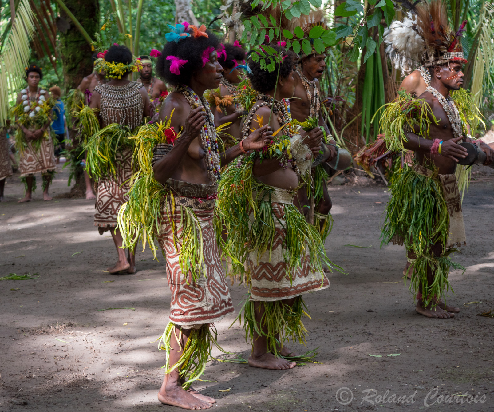 Très belles danses traditionnelles en rythme et en couleur.