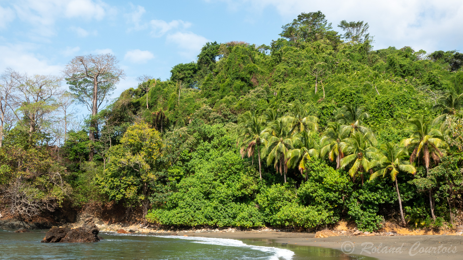 Région la plus isolée et la moins développée du Panamá, la province du Darién est une terre méconnue qui abrite une faune et une flore extrêmement riches.