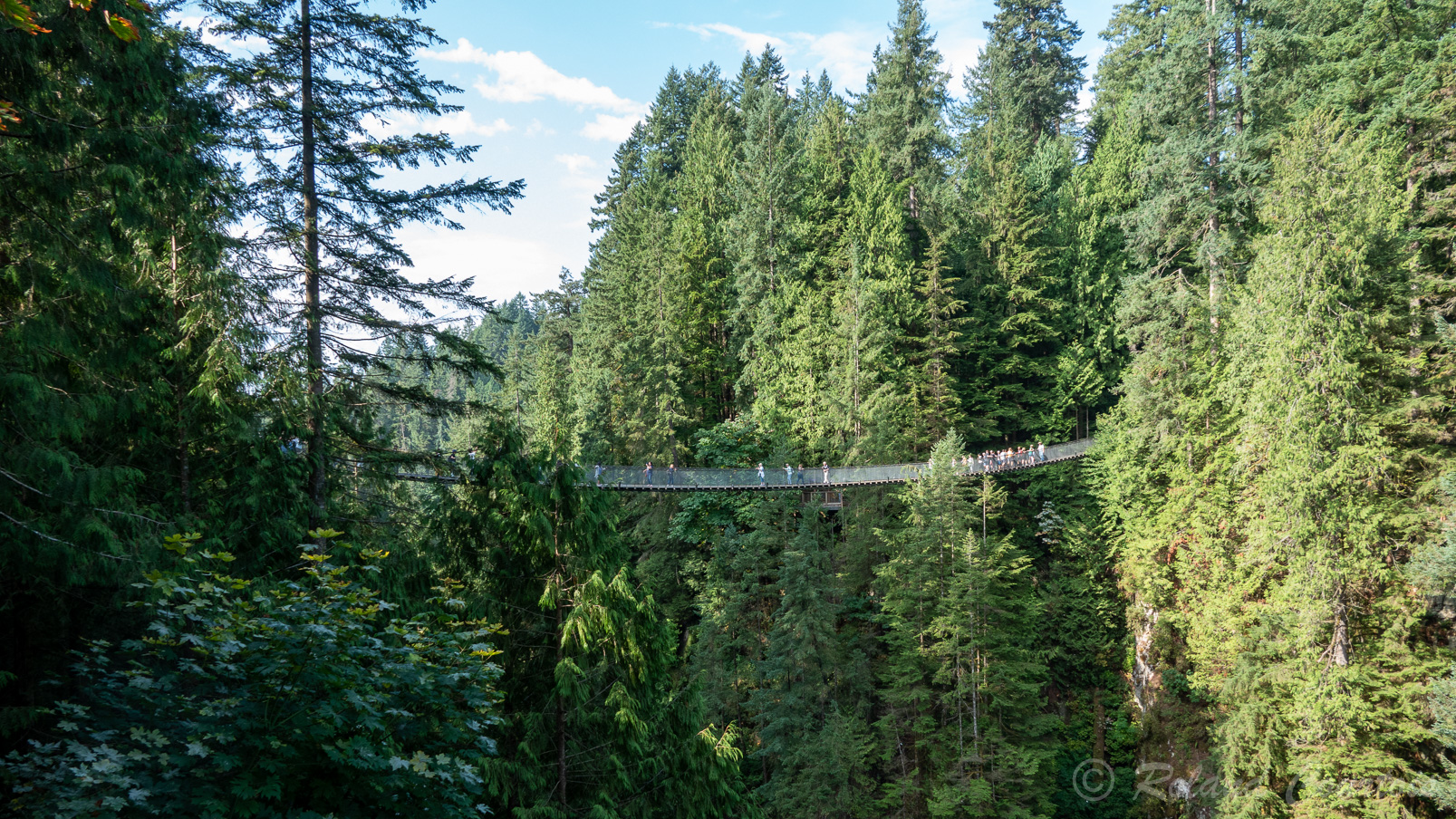 Capilano Suspension Bridge. A environ 10 kilomètres au nord de Vancouver, se trouve ce parc enfoui dans la nature, avec son pont suspendu et ses autres ponts accrochés aux séquoias.