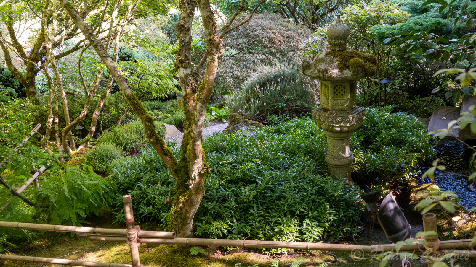 Un jardin japonais.