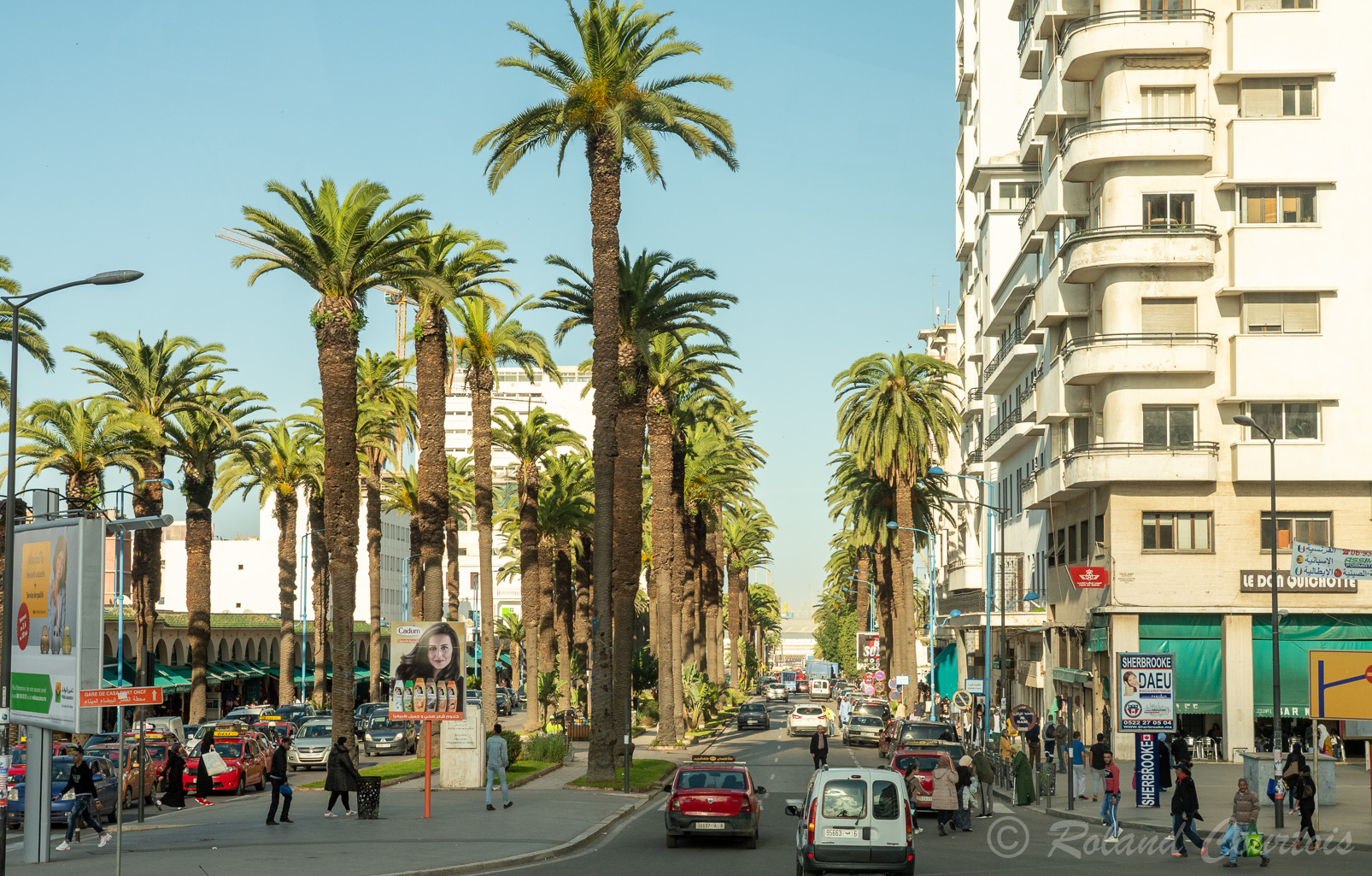 Avenue Mohamed V borfée de palmiers.