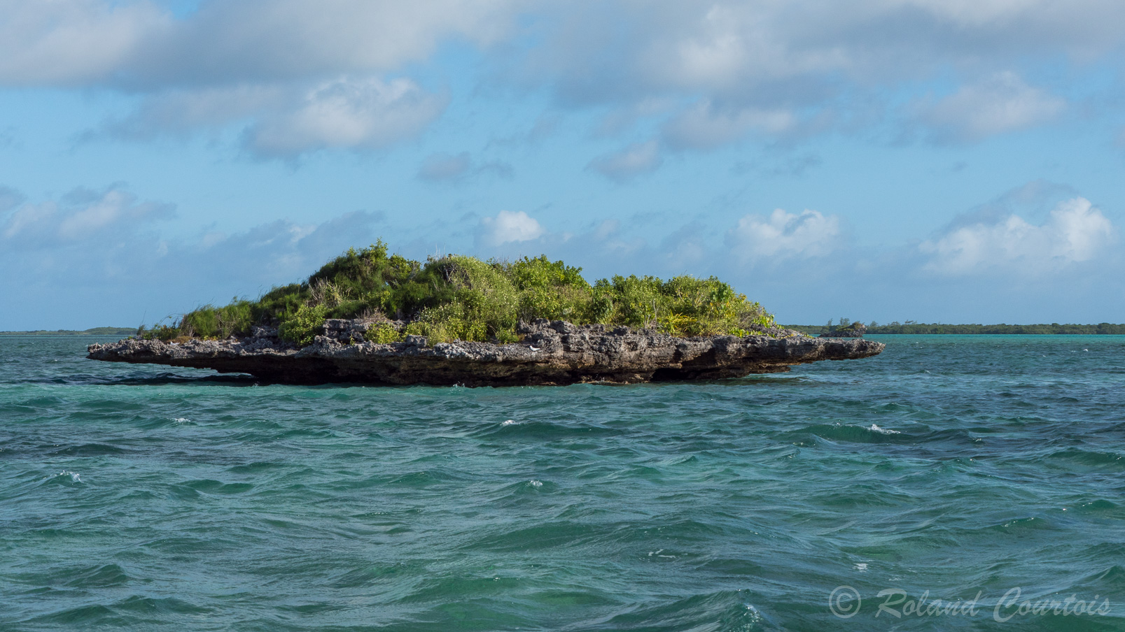 La côte de l'archipel d'Aldabra