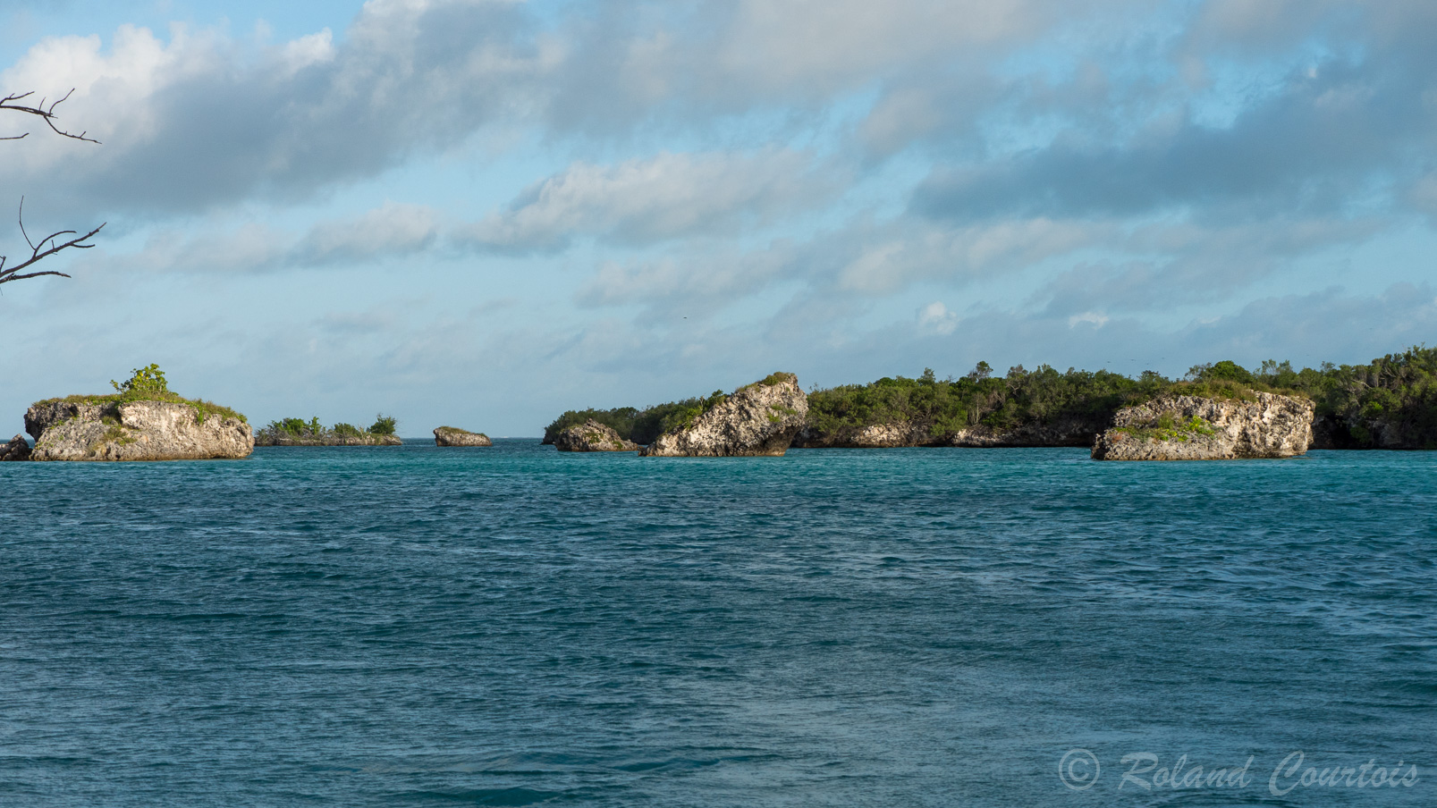 Côte déchiquetée d'Aldabra.