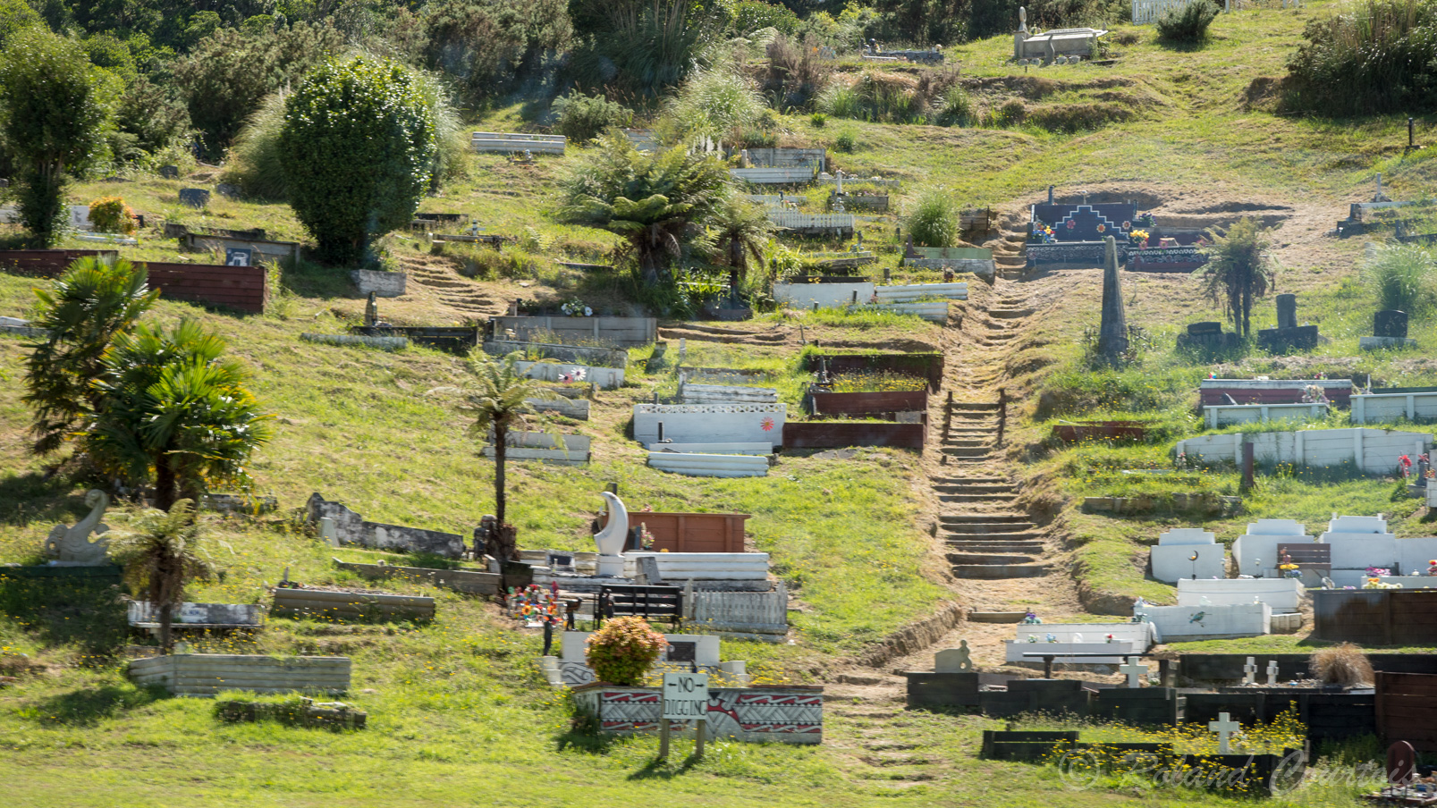 Un cimetière maori.