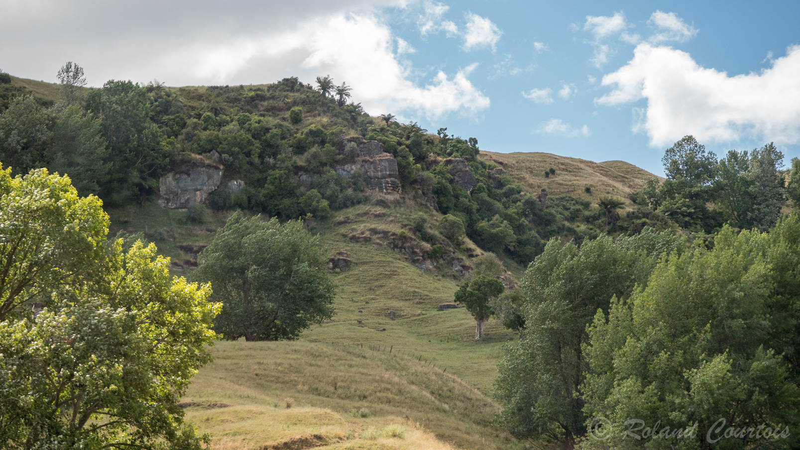 Campagne de la région de Waitomo où se trouve la Grotte des vers luisants.