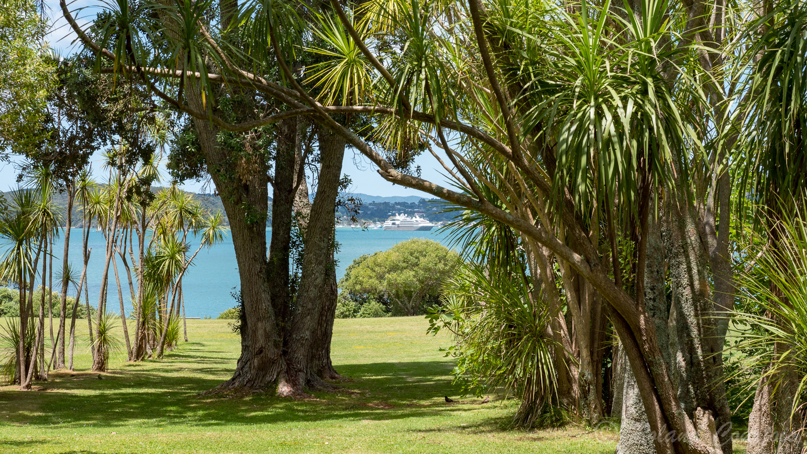 Le site du Traité de Waitangi est entouré d'un beau parc en bordure de la baie des Îles