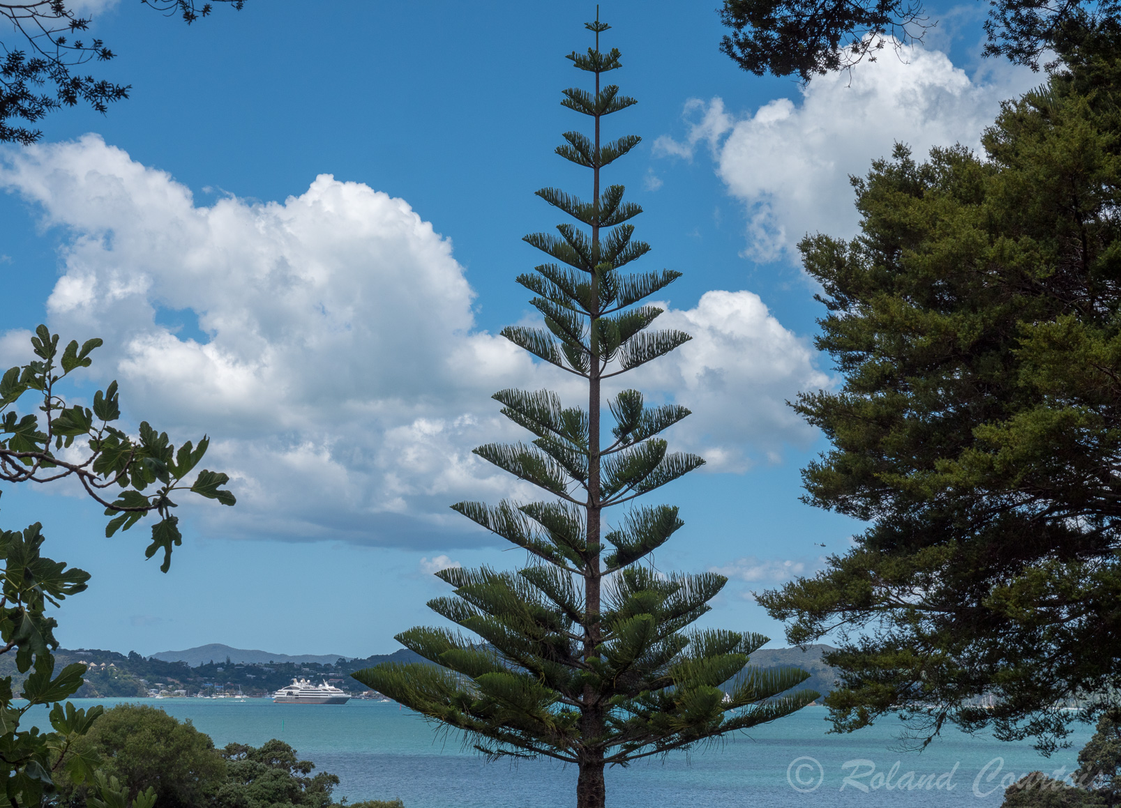 Le site du Traité de Waitangi est entouré d'un beau parc en bordure de la baie des Îles