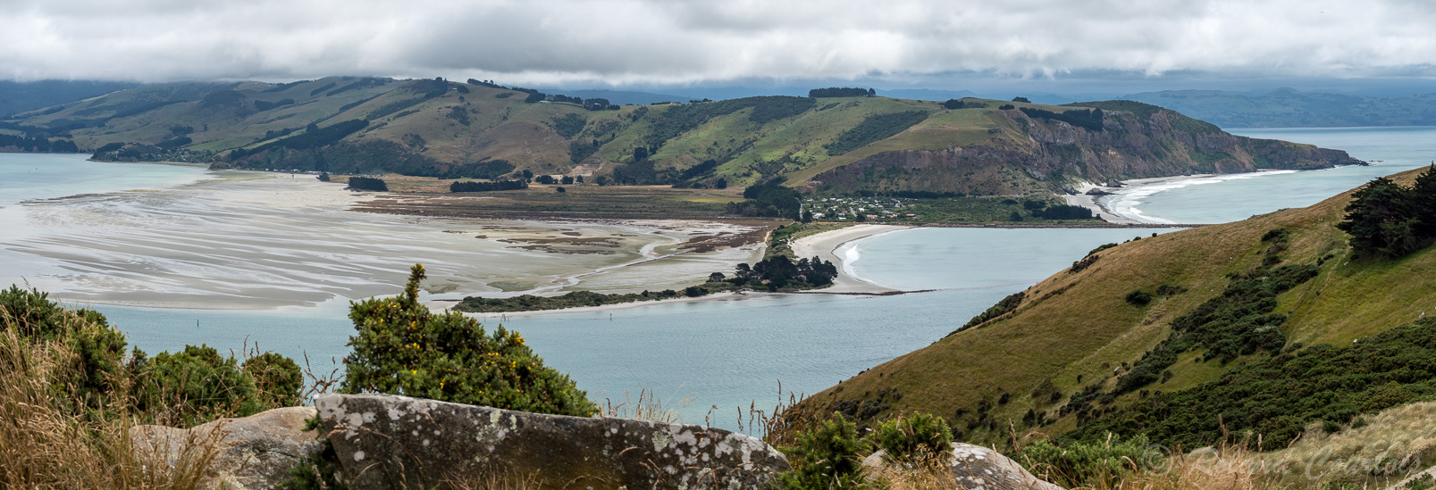 Direction Taiaroa Head à l’extrémité de la péninsule d’Otago,