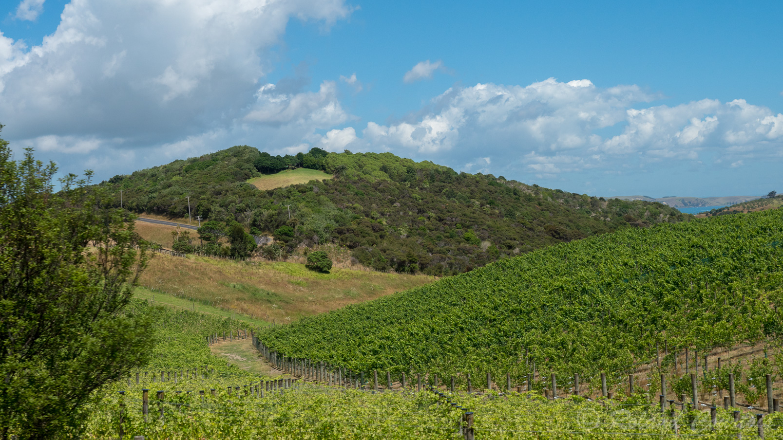 C'est l'île du vin avec de nombreux vignobles réputés.