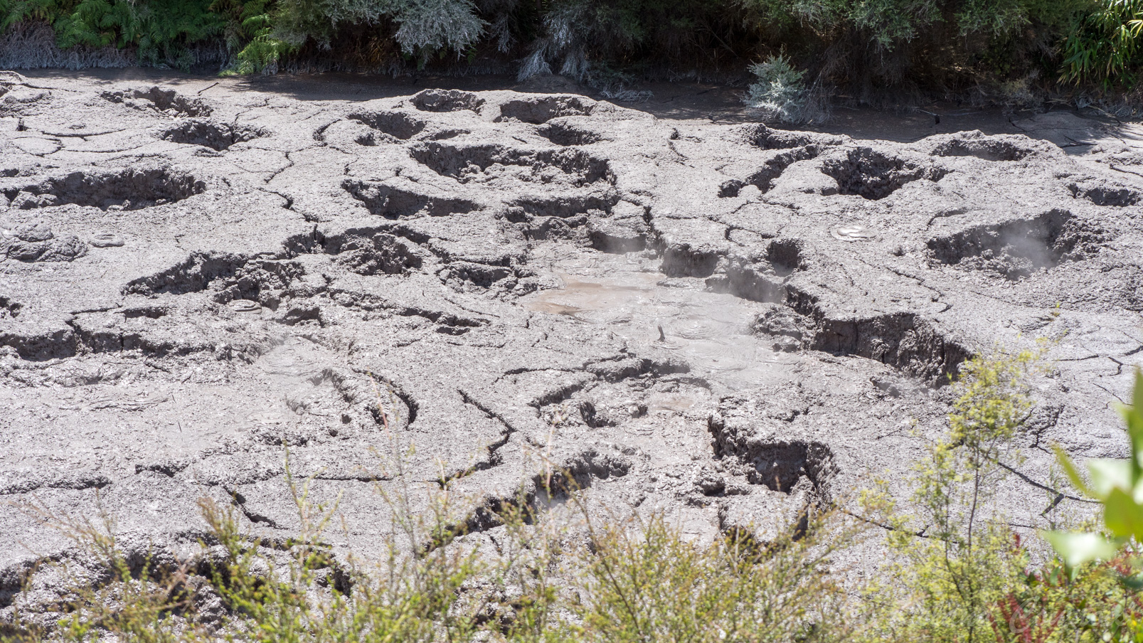 Dans ce bassin, la boue bouillonante peut atteindre 95° .