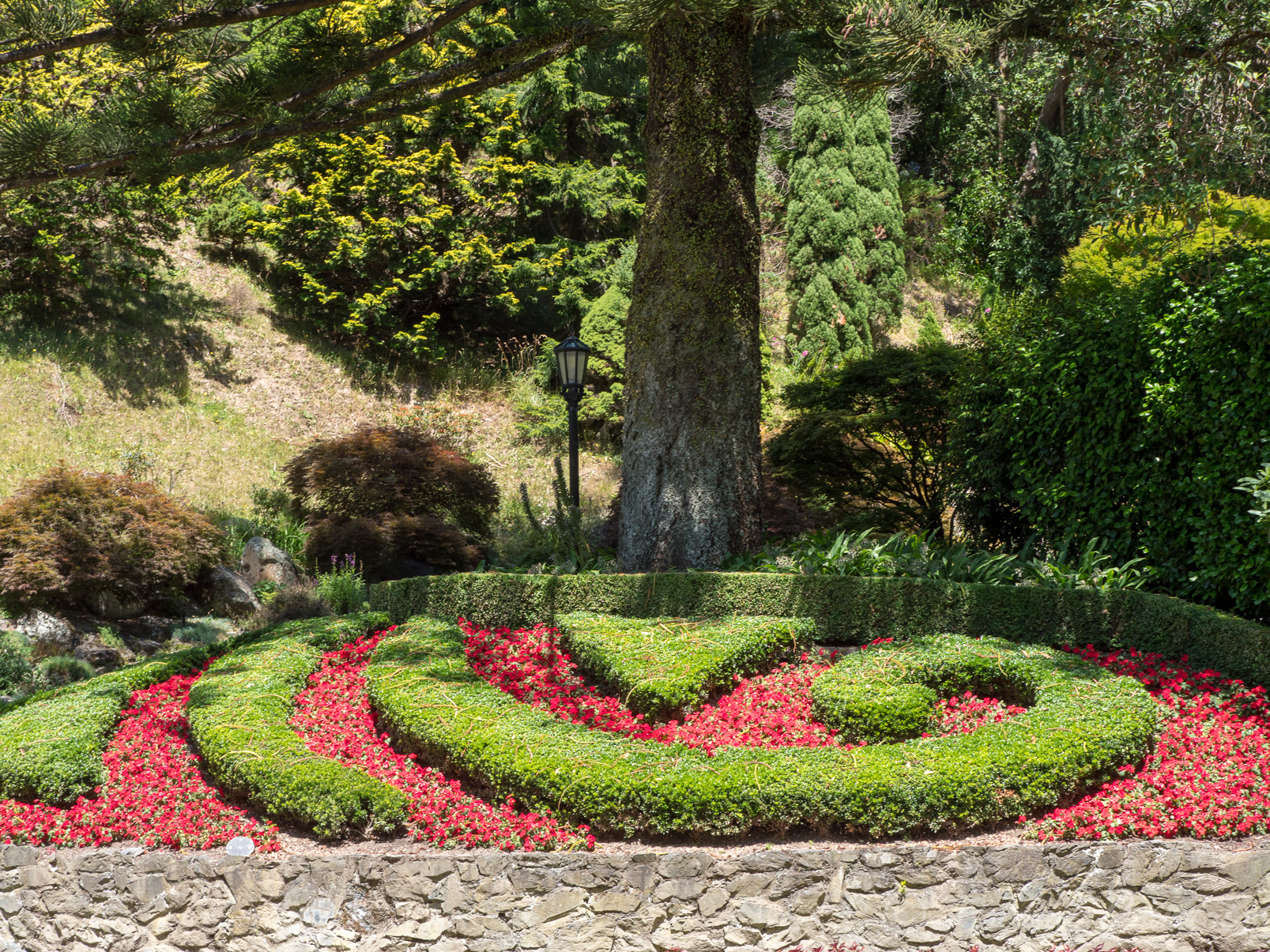 Le jardin botanique de Wellington offre plus de 26 hectares de vues imprenables, avec des paysages uniques, des forêts exotiques, du bush, des parterres de fleurs multicolores.
