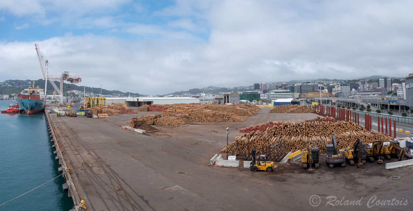 Le port de Wellington concentre une grande activité d'exportation de bois.