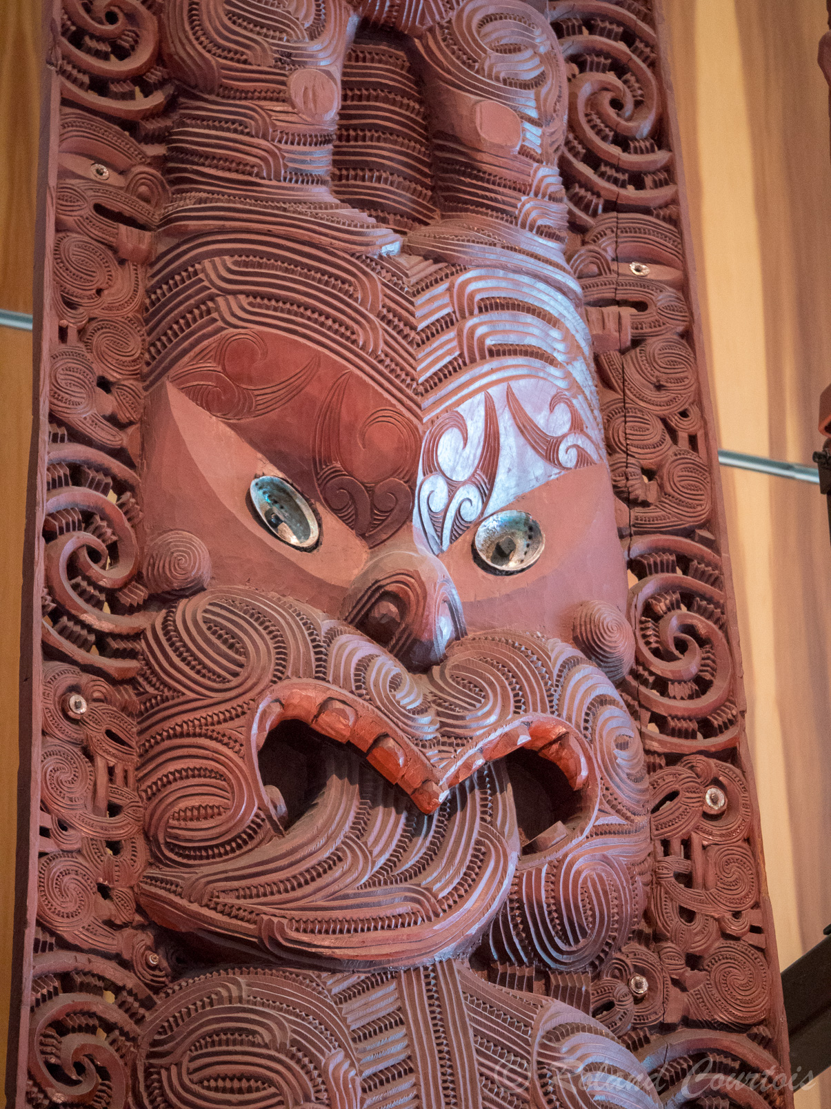 Musée de Nouvelle-Zélande "Te Papa Tongarewa"