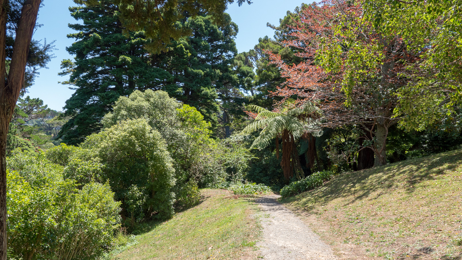Le jardin botanique de Wellington offre plus de 26 hectares de vues imprenables, avec des paysages uniques, des forêts exotiques, du bush, des parterres de fleurs multicolores et de magnifiques jardins spécialisés, comme la Maison aux Bégonias
