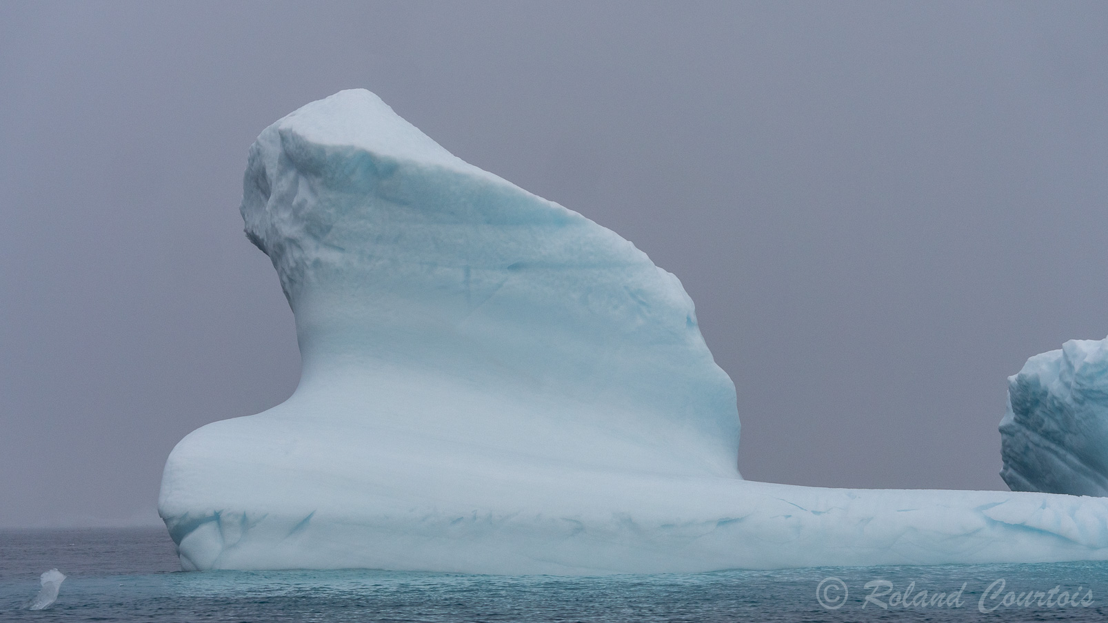 .... des icebergs est impressionnante.
