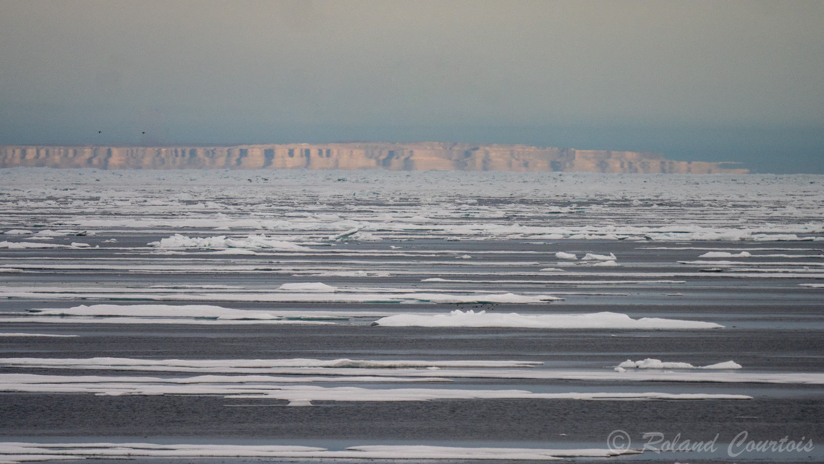 En navigation entre les plaques de glace toujours plus vers le Nord